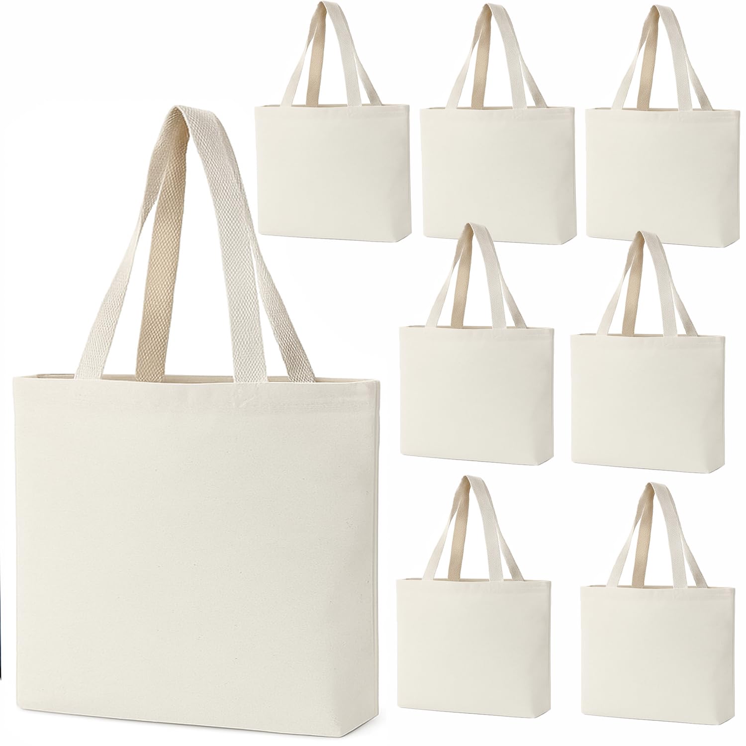 Amazon.com: GiftExpress Pack of 12, 8